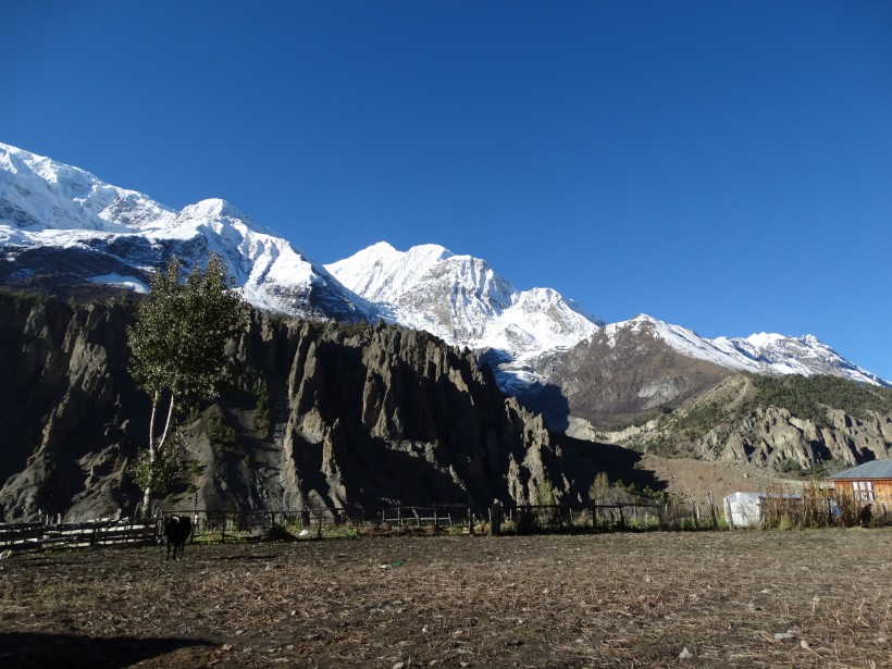 Annapurna Sunrise Trek